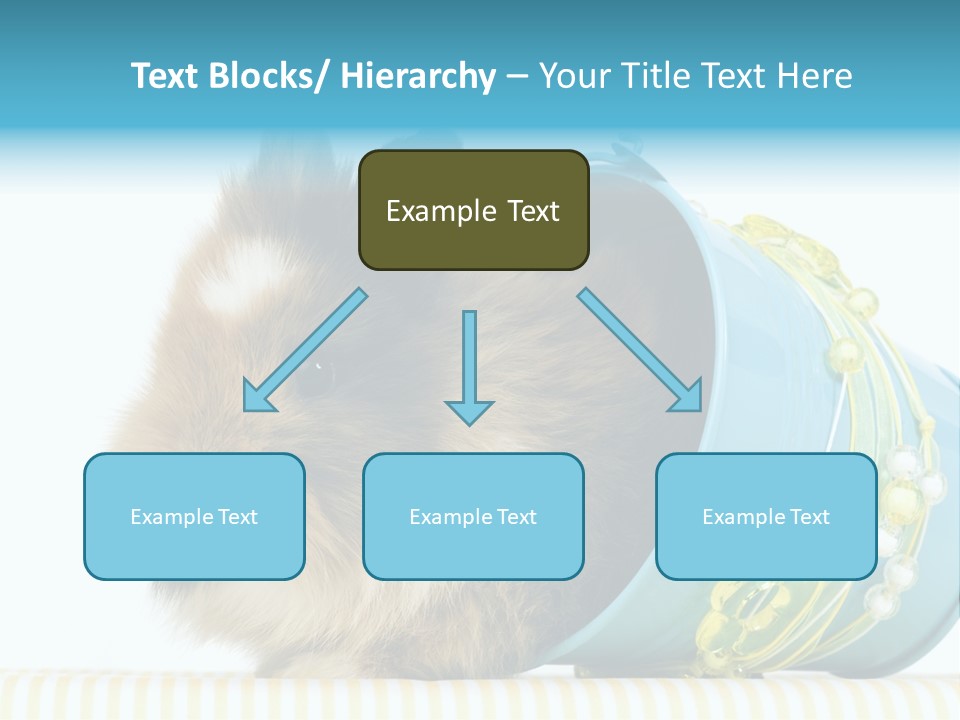 Schlappohren Portrait Studio PowerPoint Template