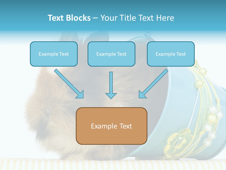 Schlappohren Portrait Studio PowerPoint Template