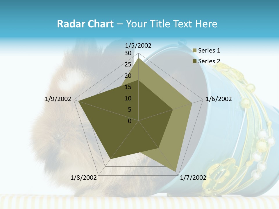 Schlappohren Portrait Studio PowerPoint Template