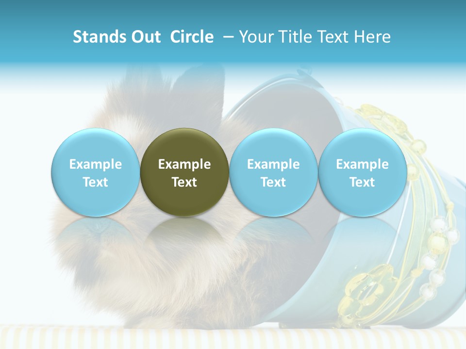 Schlappohren Portrait Studio PowerPoint Template