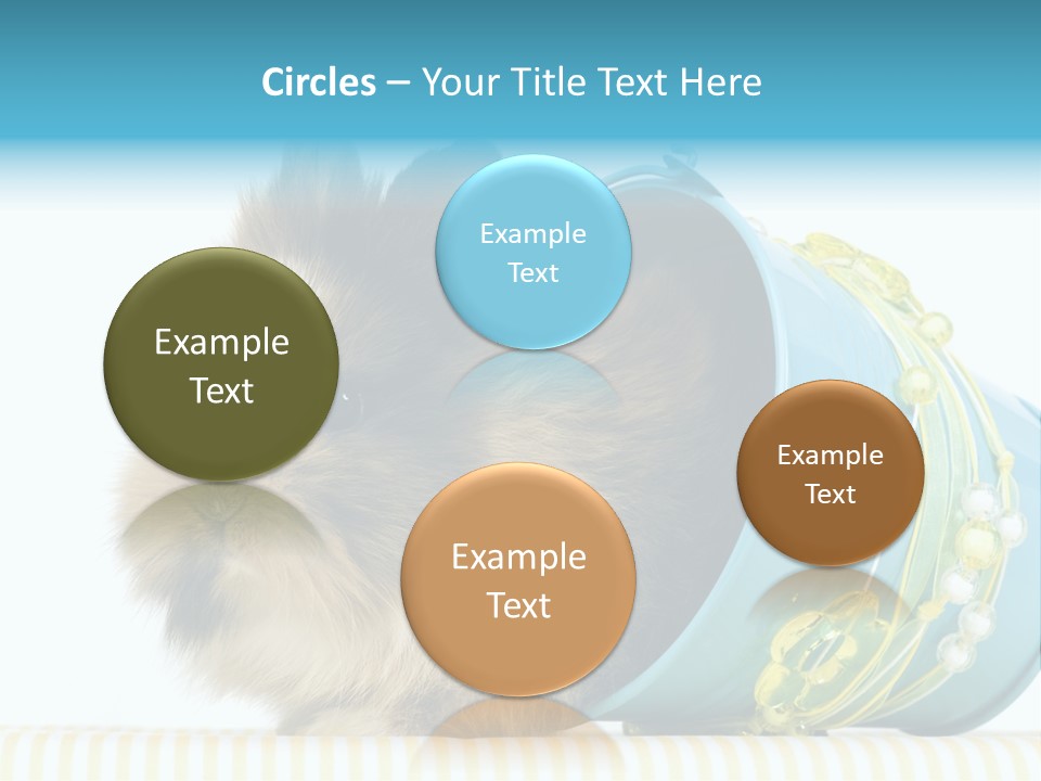 Schlappohren Portrait Studio PowerPoint Template