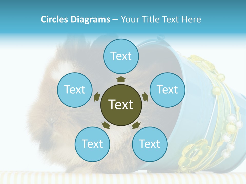 Schlappohren Portrait Studio PowerPoint Template