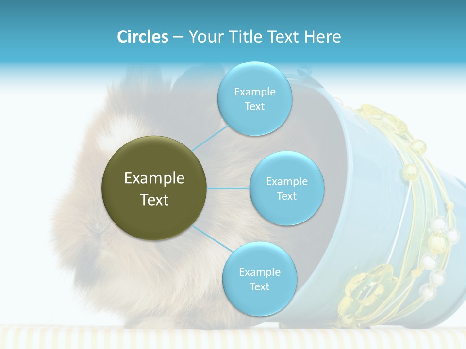 Schlappohren Portrait Studio PowerPoint Template