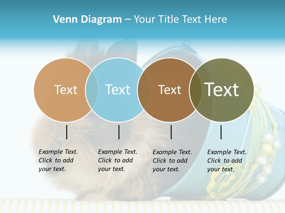 Schlappohren Portrait Studio PowerPoint Template