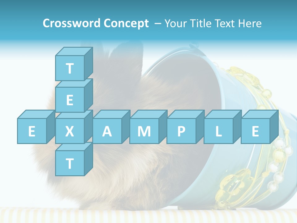 Schlappohren Portrait Studio PowerPoint Template