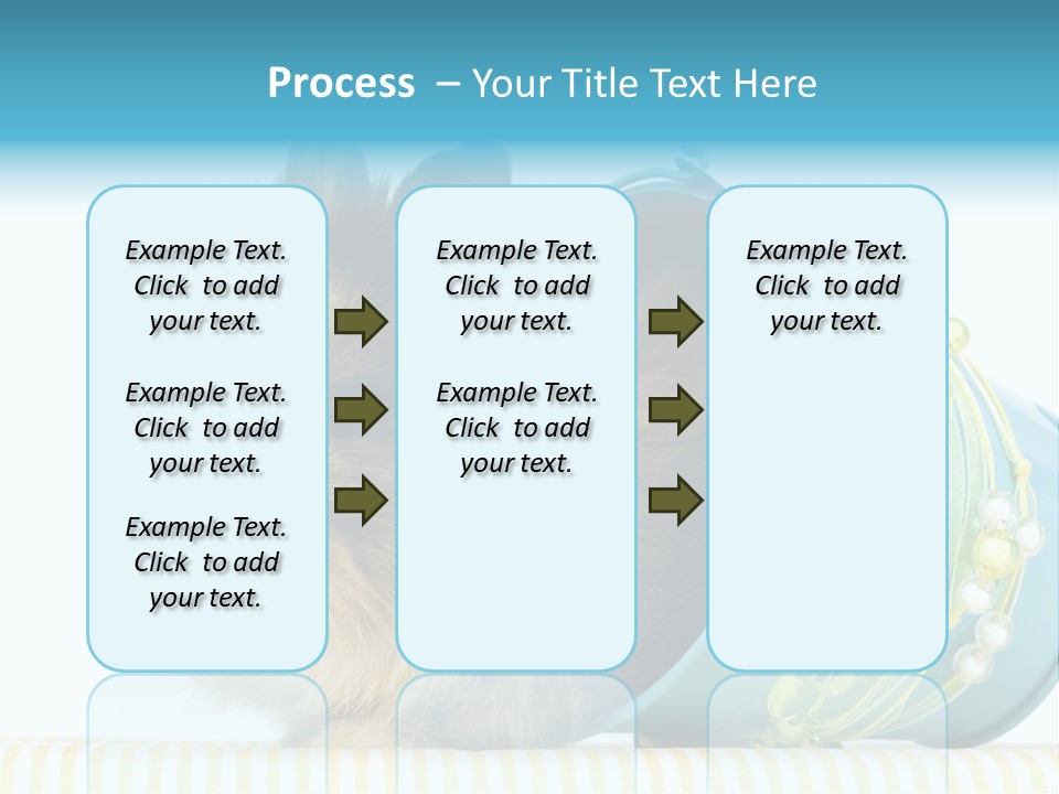 Schlappohren Portrait Studio PowerPoint Template