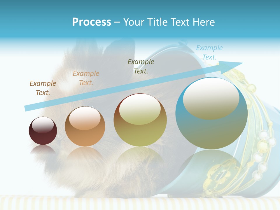 Schlappohren Portrait Studio PowerPoint Template