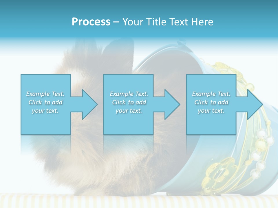 Schlappohren Portrait Studio PowerPoint Template