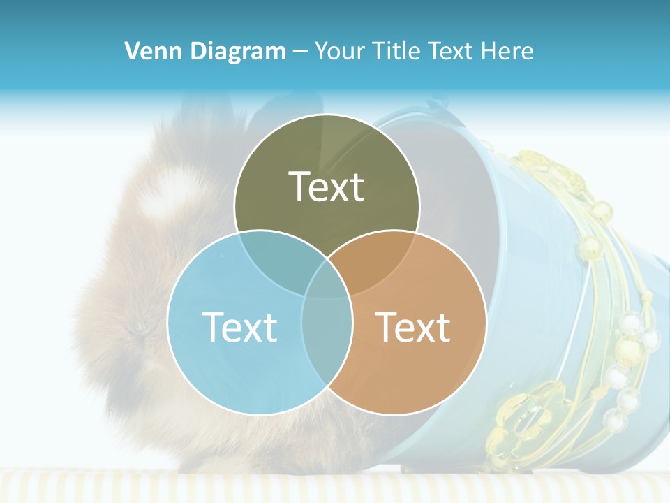 Schlappohren Portrait Studio PowerPoint Template