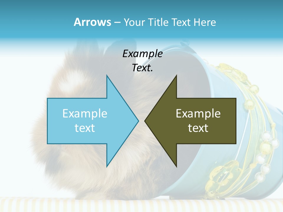 Schlappohren Portrait Studio PowerPoint Template