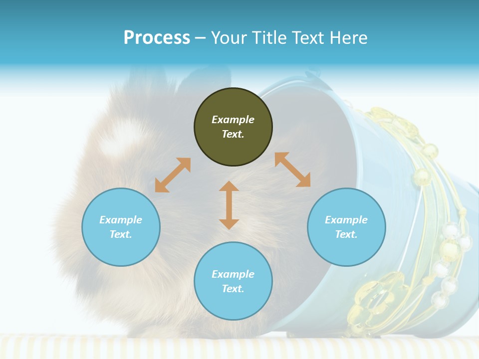 Schlappohren Portrait Studio PowerPoint Template