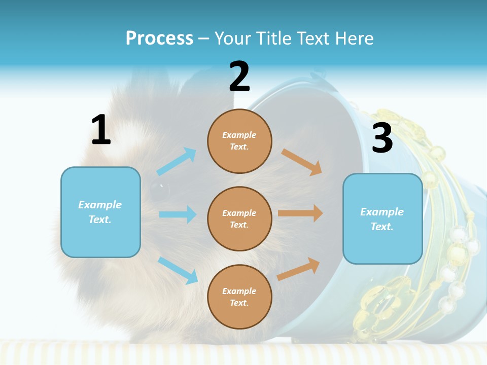 Schlappohren Portrait Studio PowerPoint Template