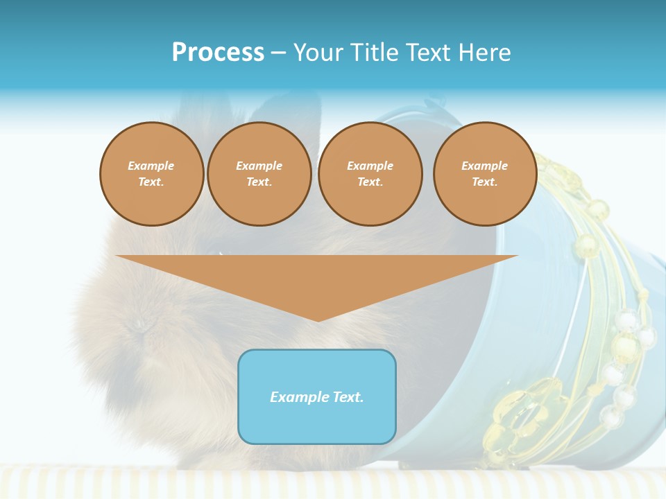 Schlappohren Portrait Studio PowerPoint Template