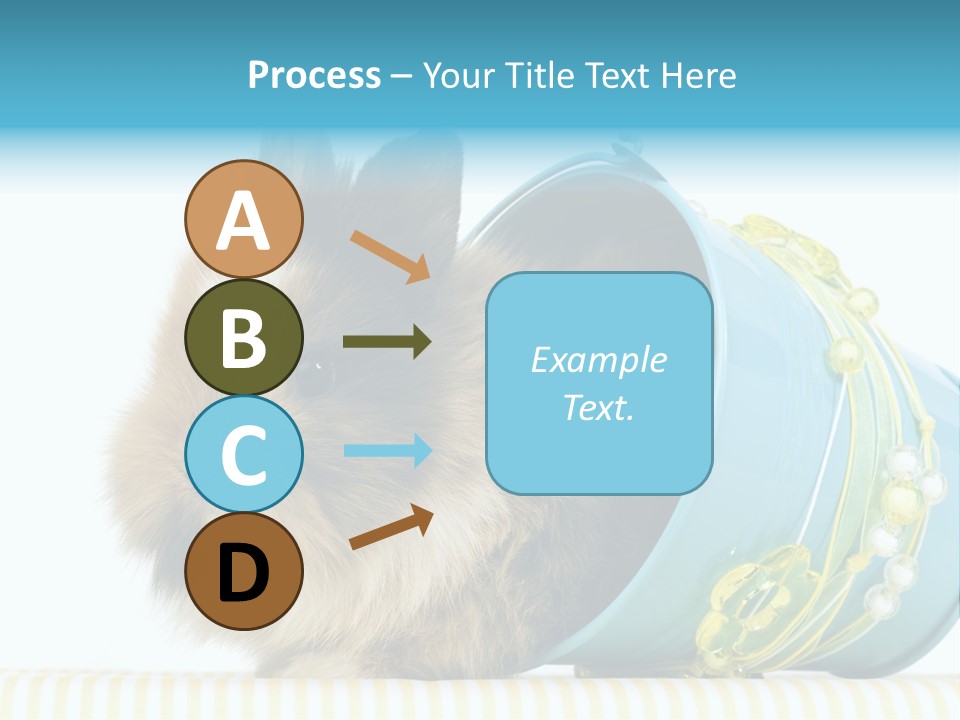 Schlappohren Portrait Studio PowerPoint Template