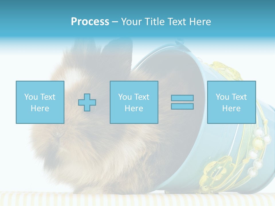 Schlappohren Portrait Studio PowerPoint Template