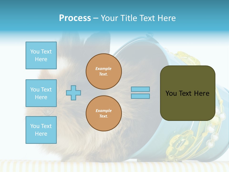 Schlappohren Portrait Studio PowerPoint Template
