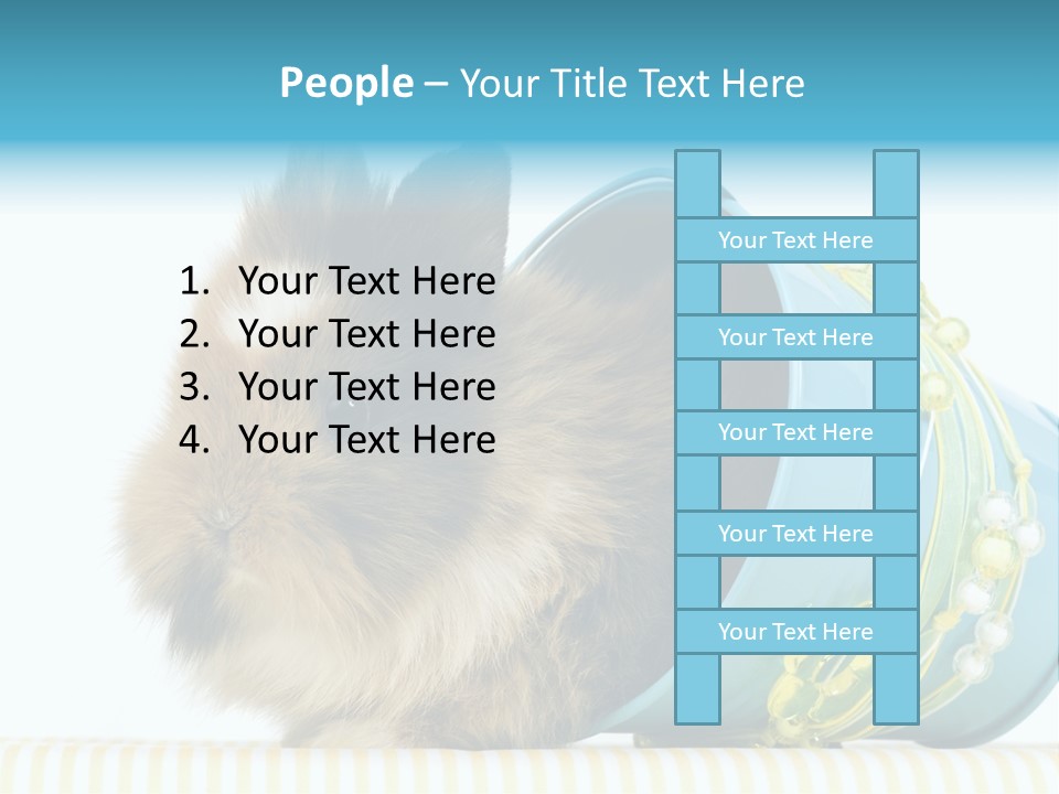 Schlappohren Portrait Studio PowerPoint Template