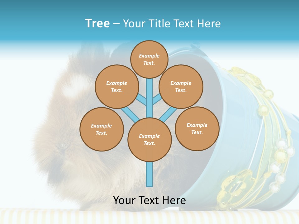 Schlappohren Portrait Studio PowerPoint Template