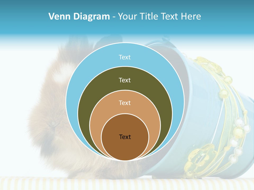 Schlappohren Portrait Studio PowerPoint Template