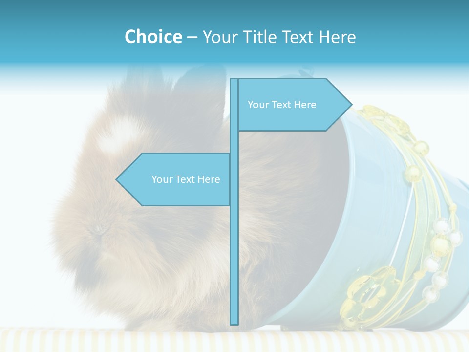 Schlappohren Portrait Studio PowerPoint Template