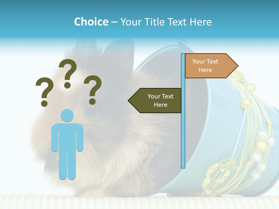 Schlappohren Portrait Studio PowerPoint Template