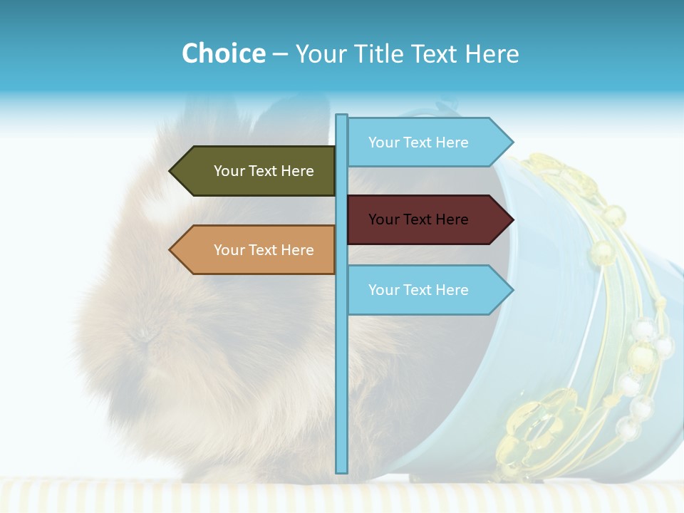 Schlappohren Portrait Studio PowerPoint Template