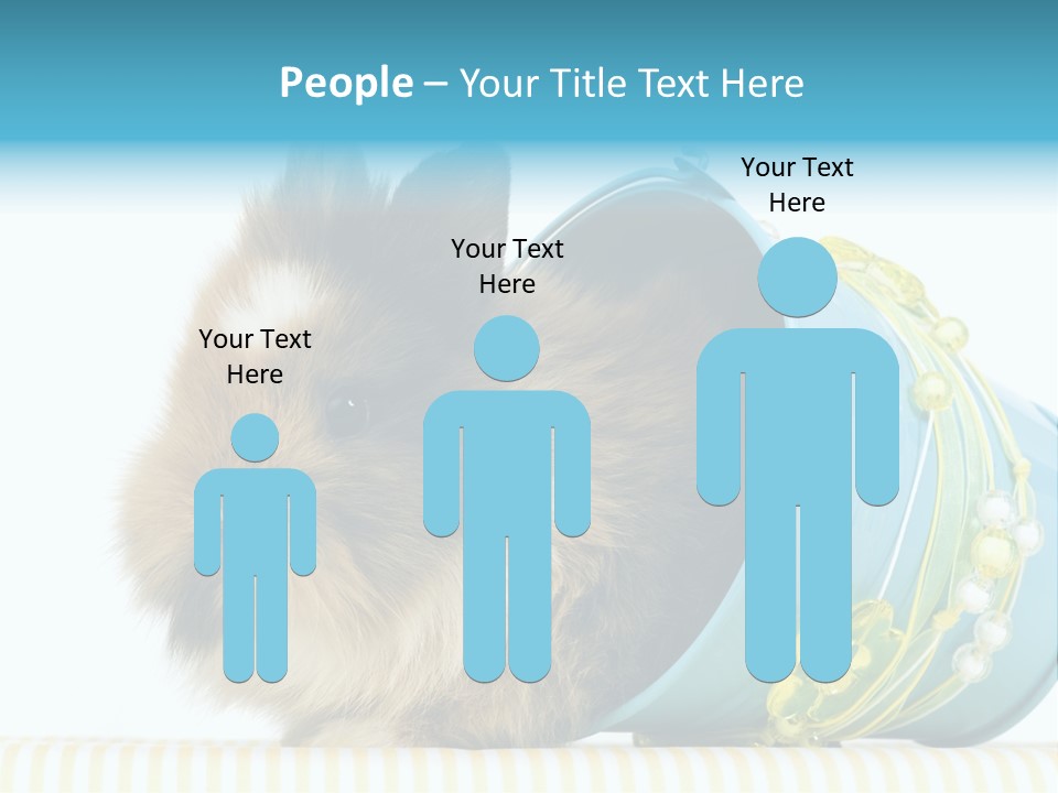 Schlappohren Portrait Studio PowerPoint Template