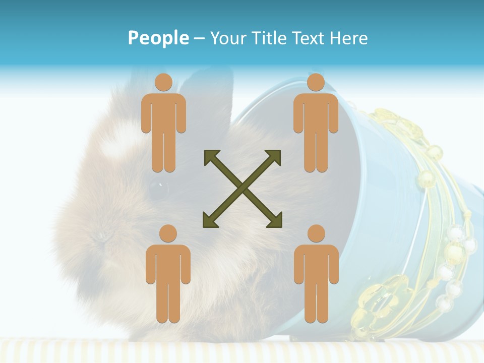 Schlappohren Portrait Studio PowerPoint Template