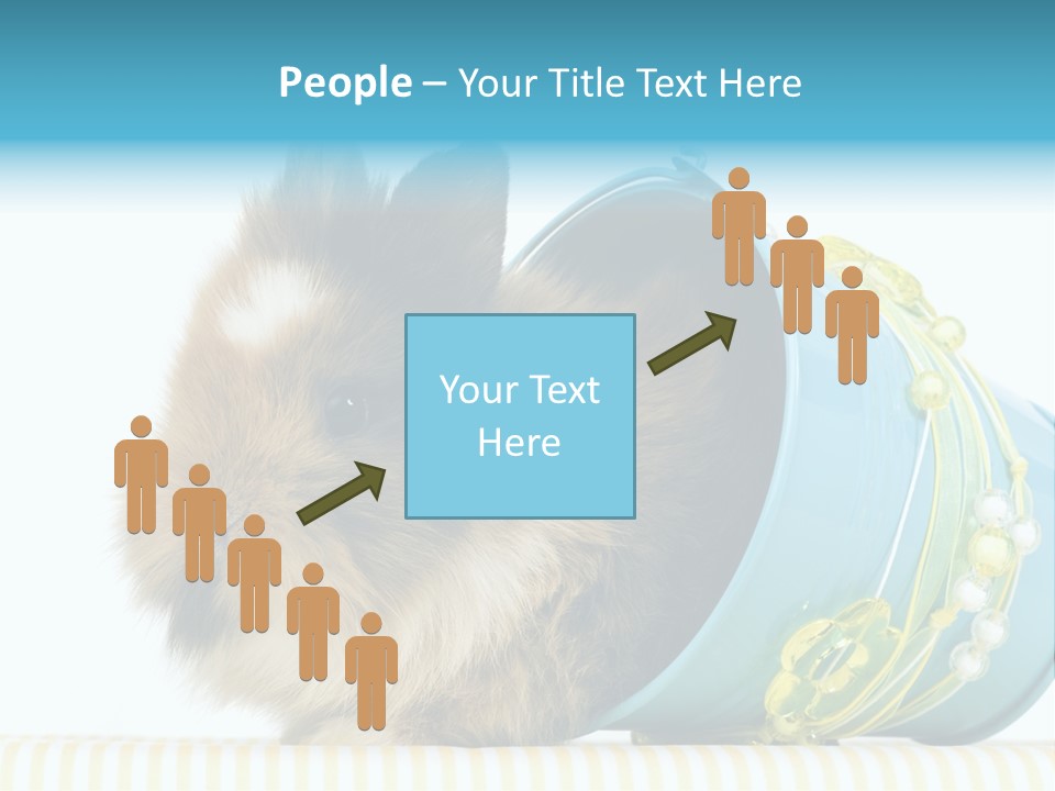 Schlappohren Portrait Studio PowerPoint Template