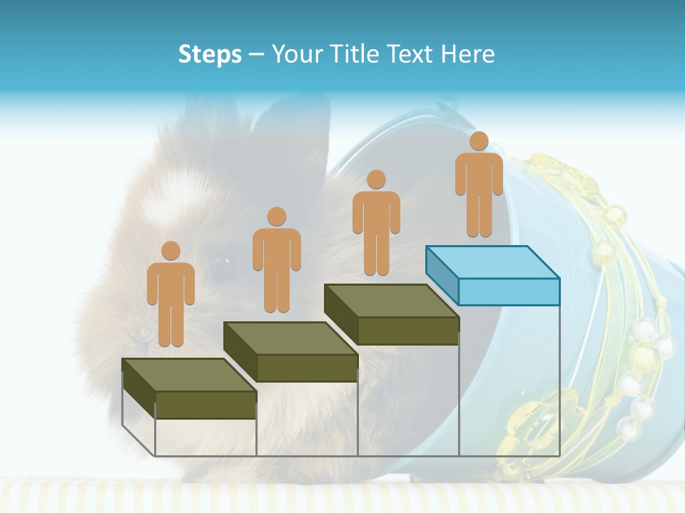 Schlappohren Portrait Studio PowerPoint Template