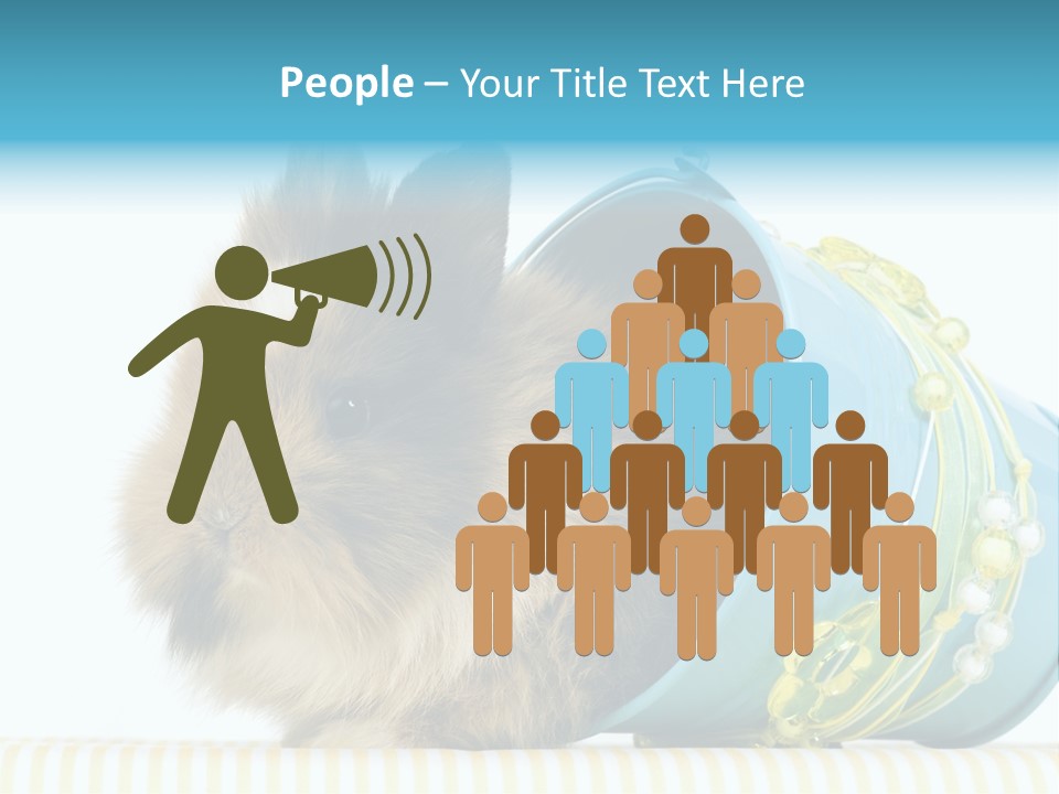 Schlappohren Portrait Studio PowerPoint Template