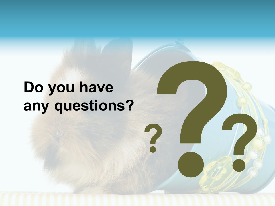 Schlappohren Portrait Studio PowerPoint Template