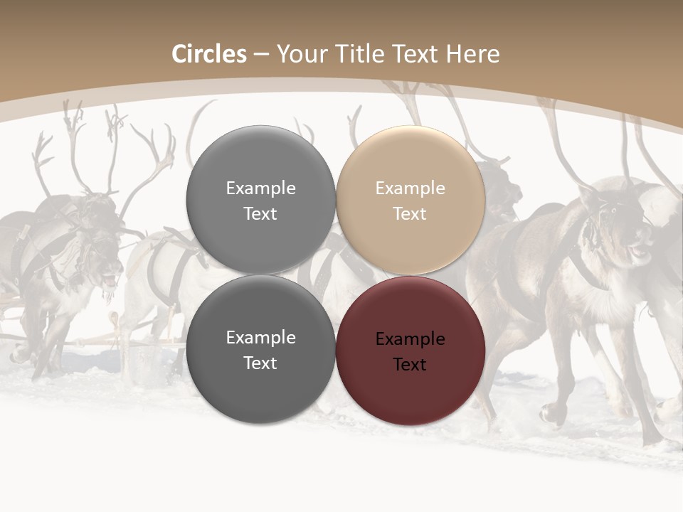 Harness White Antler PowerPoint Template