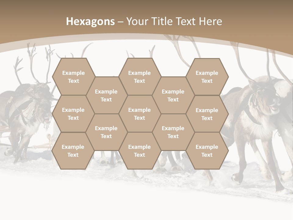 Harness White Antler PowerPoint Template