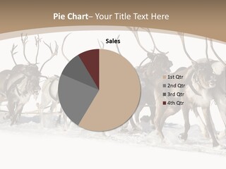 Harness White Antler PowerPoint Template