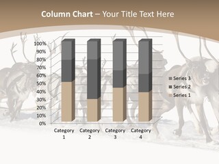 Harness White Antler PowerPoint Template