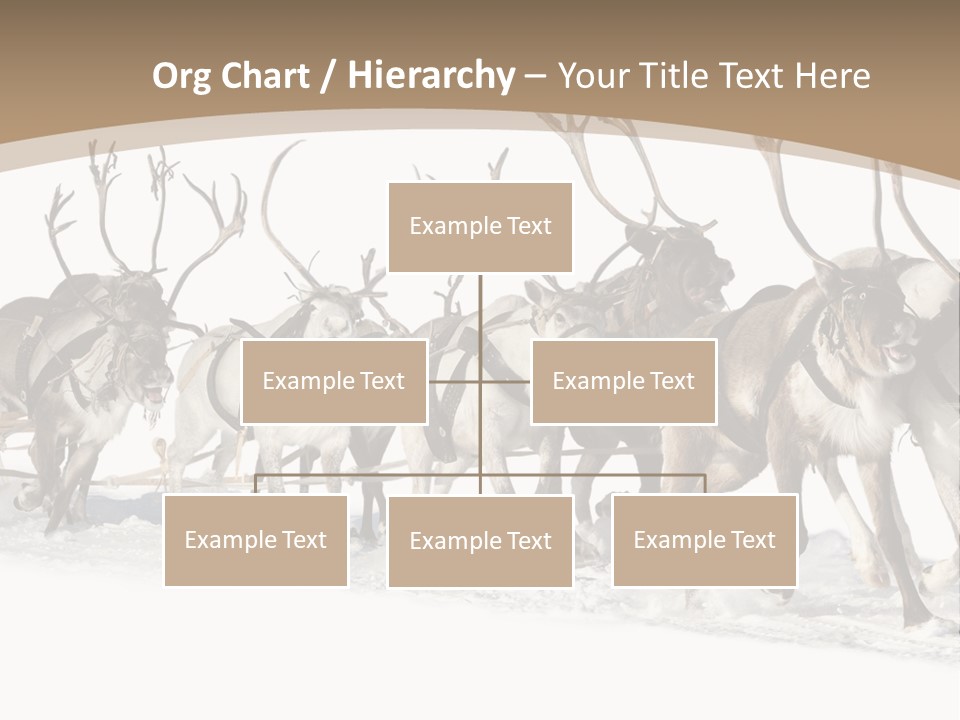 Harness White Antler PowerPoint Template