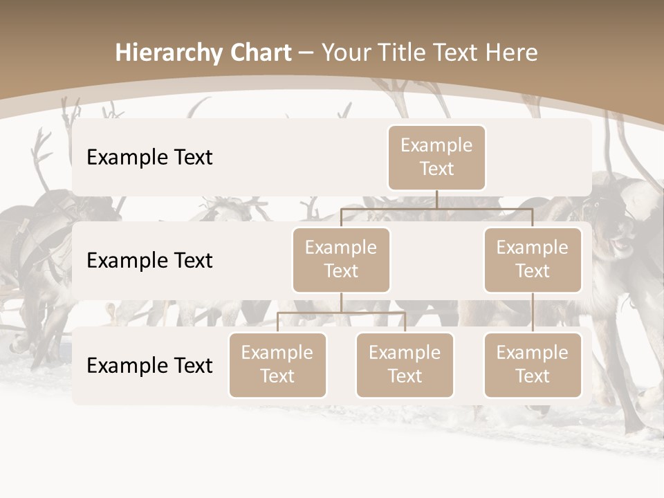 Harness White Antler PowerPoint Template