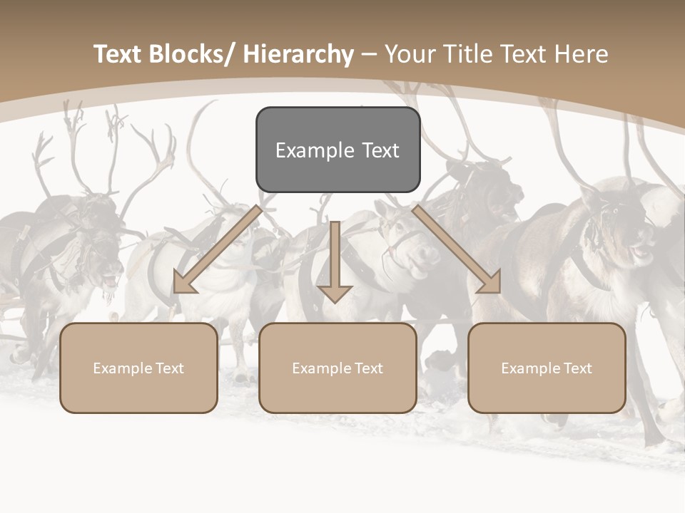 Harness White Antler PowerPoint Template
