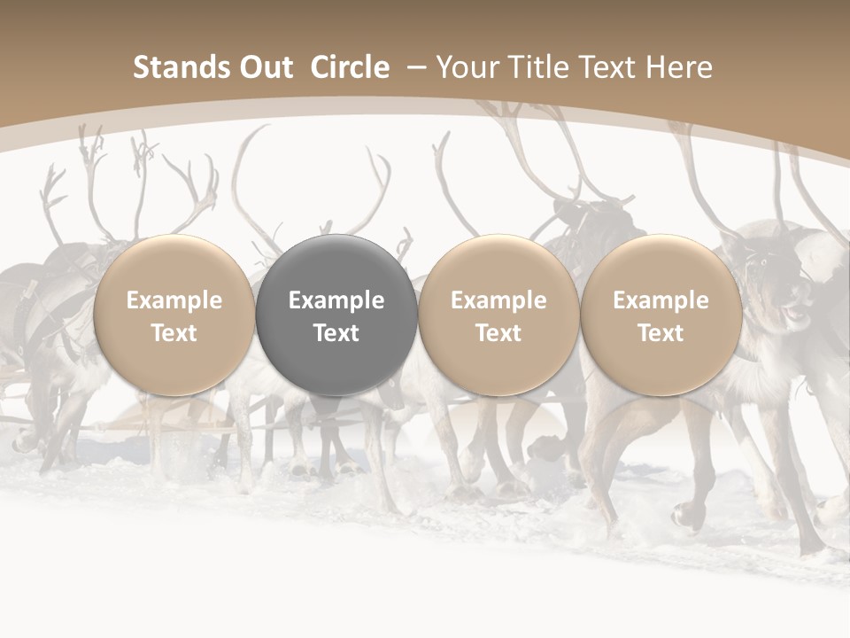 Harness White Antler PowerPoint Template