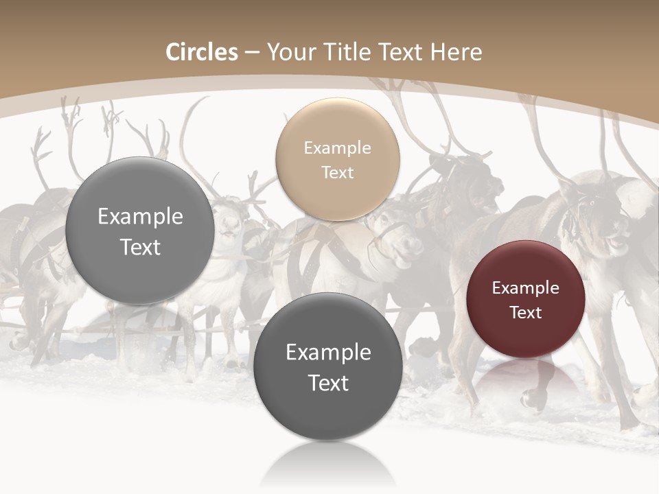 Harness White Antler PowerPoint Template