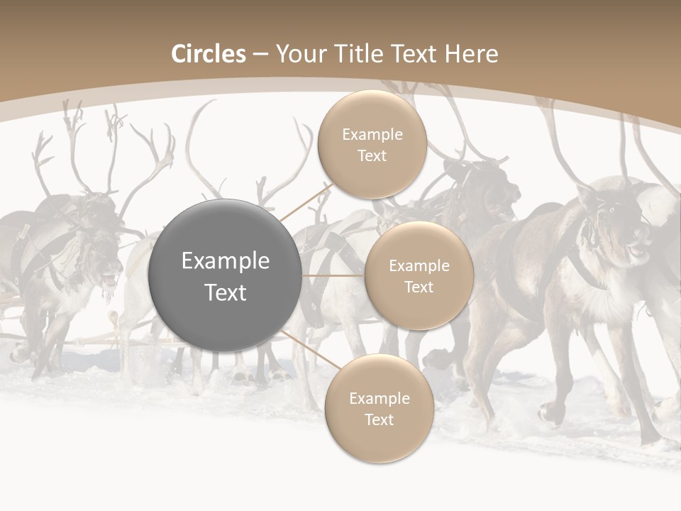 Harness White Antler PowerPoint Template