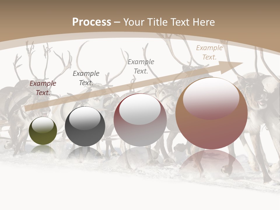 Harness White Antler PowerPoint Template