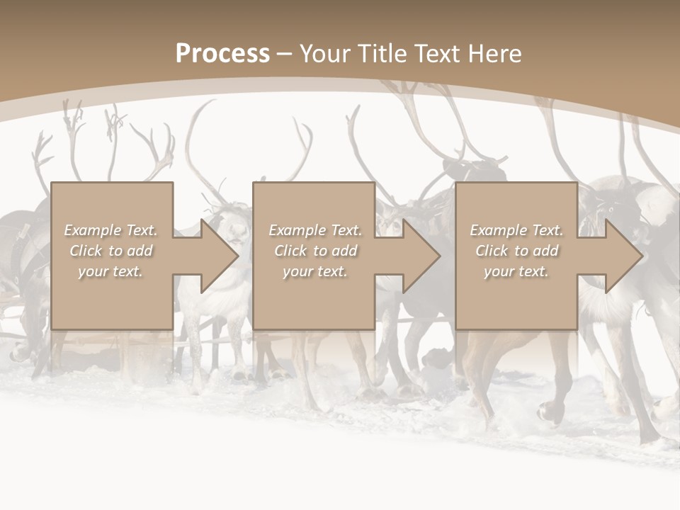 Harness White Antler PowerPoint Template