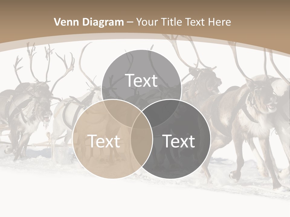 Harness White Antler PowerPoint Template