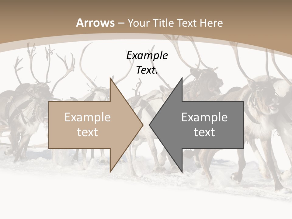 Harness White Antler PowerPoint Template