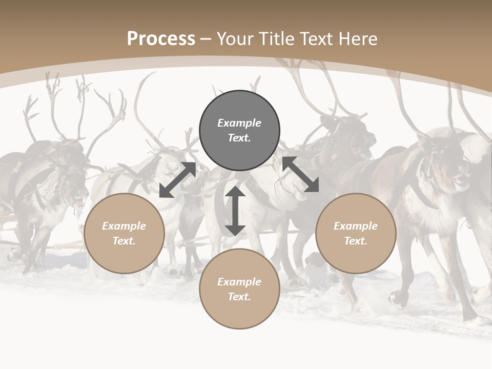 Harness White Antler PowerPoint Template