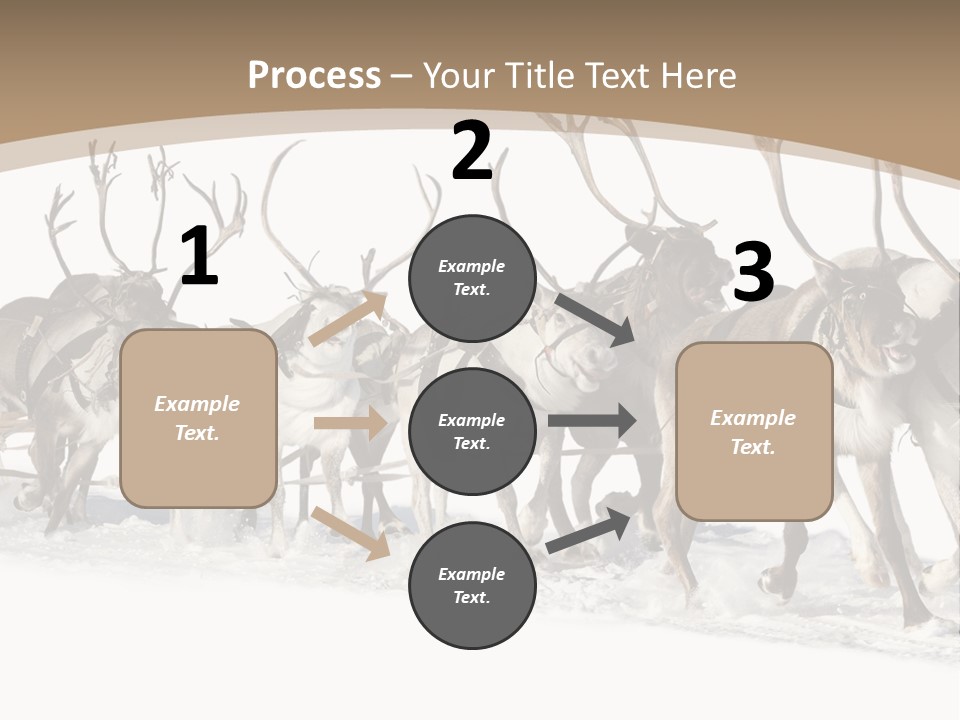 Harness White Antler PowerPoint Template