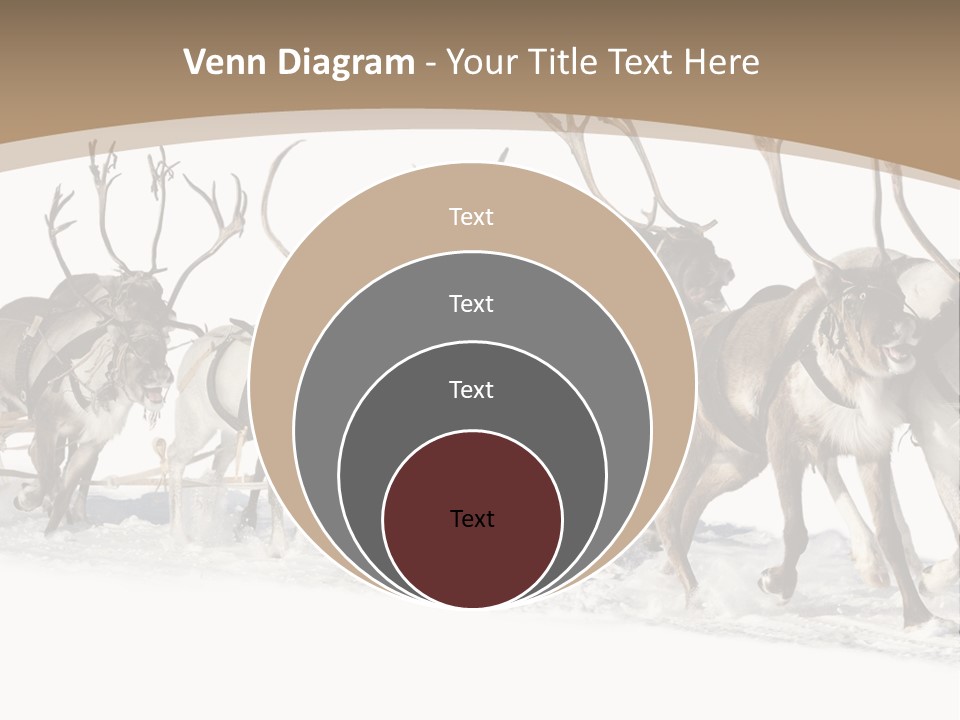 Harness White Antler PowerPoint Template