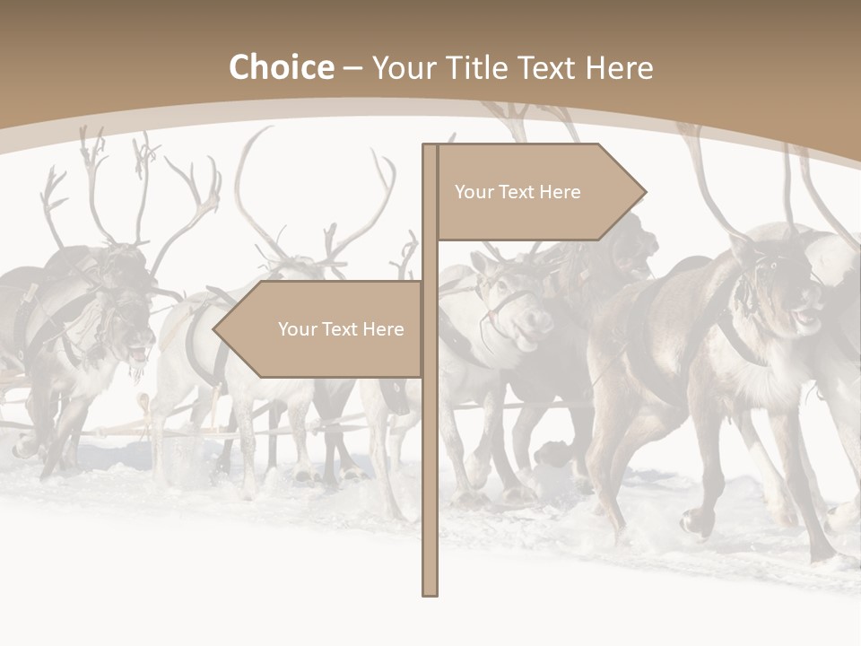 Harness White Antler PowerPoint Template